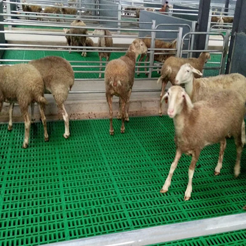 2023 Goat livestock plastic slat flooring sheep slats goat farm floor plastic slat floor for goat