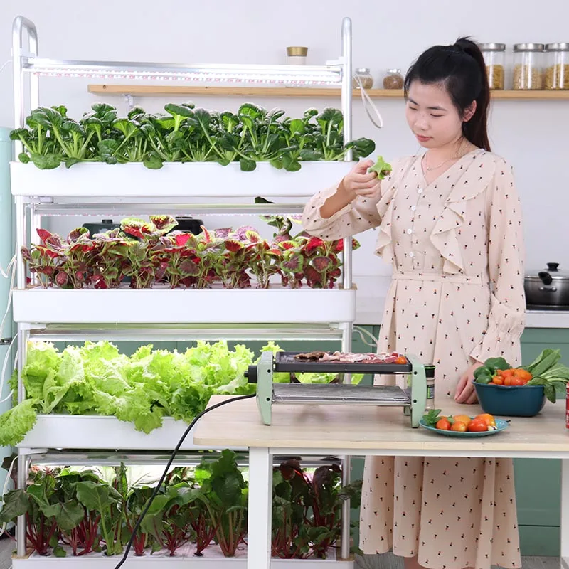 Automatic Home Garden Vertical Hydroponic System Complete Aquaponics Irrigation Farming Supplies Grow Vegetables in Pots