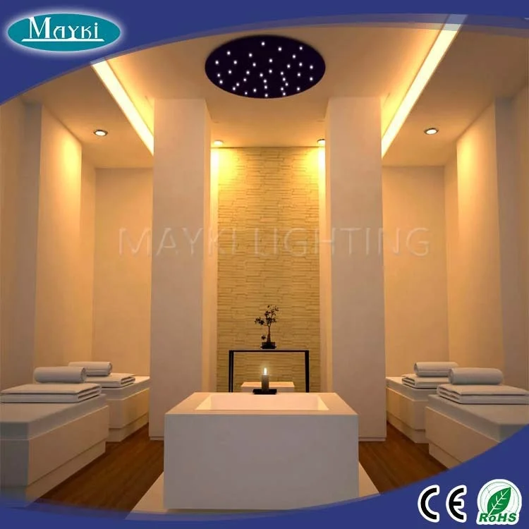 LEA-502 10W LED fiber optic illumination with twinke wheel inside