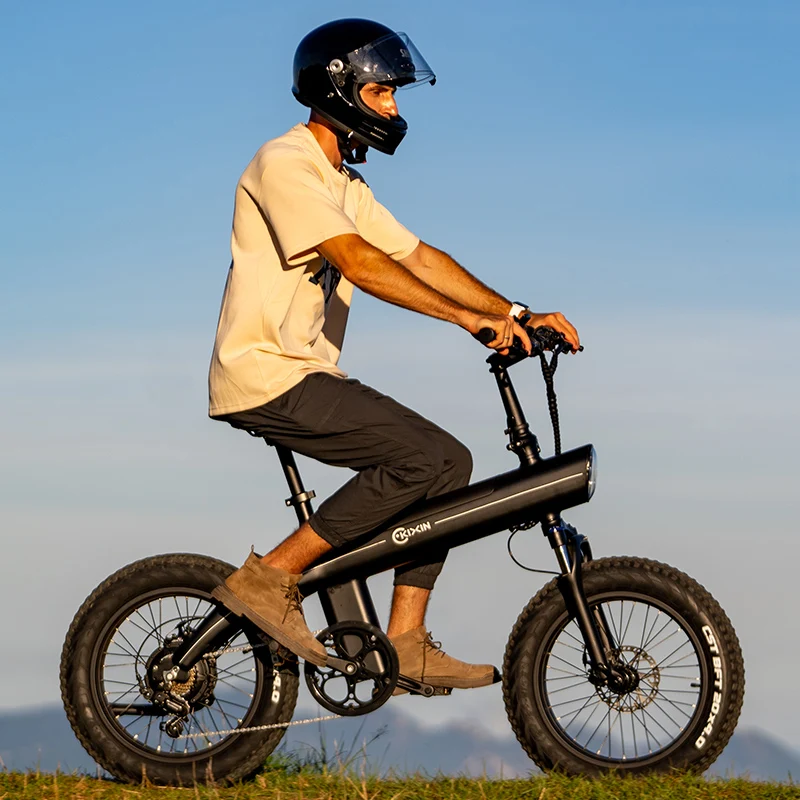 manufacturer electric bikes 20 inch off-road fat tire bicicleta electrica para adulto electric cycles for men electric city bike