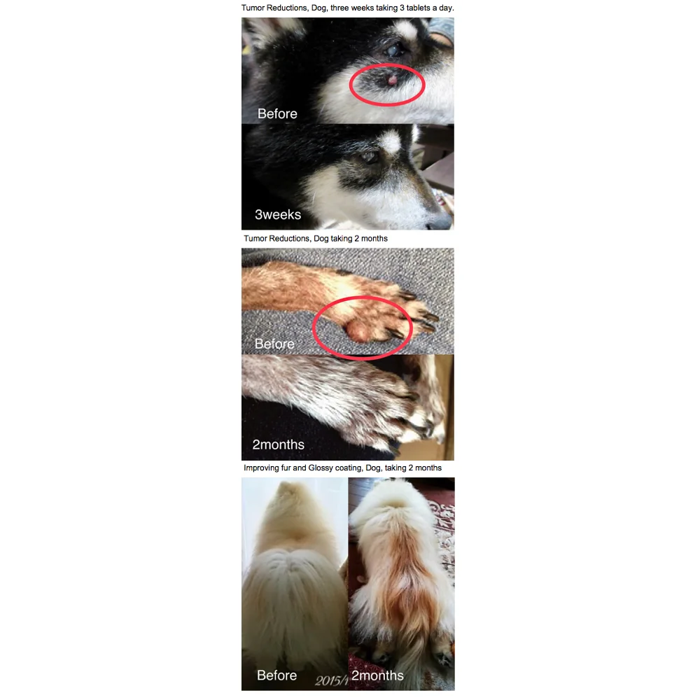 Пищевые добавки King Agaricus Hair Cat для глянцевого покрытия