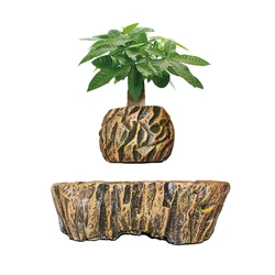 HCNT air bonsai Levitation bonsai pot Desktop decoration gift