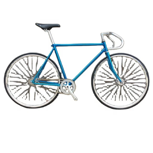 Fixed Gear Bike DIY 700C Fixie frame Aluminum alloy Bike Track Bicycle Magnesium Alloy wheel
