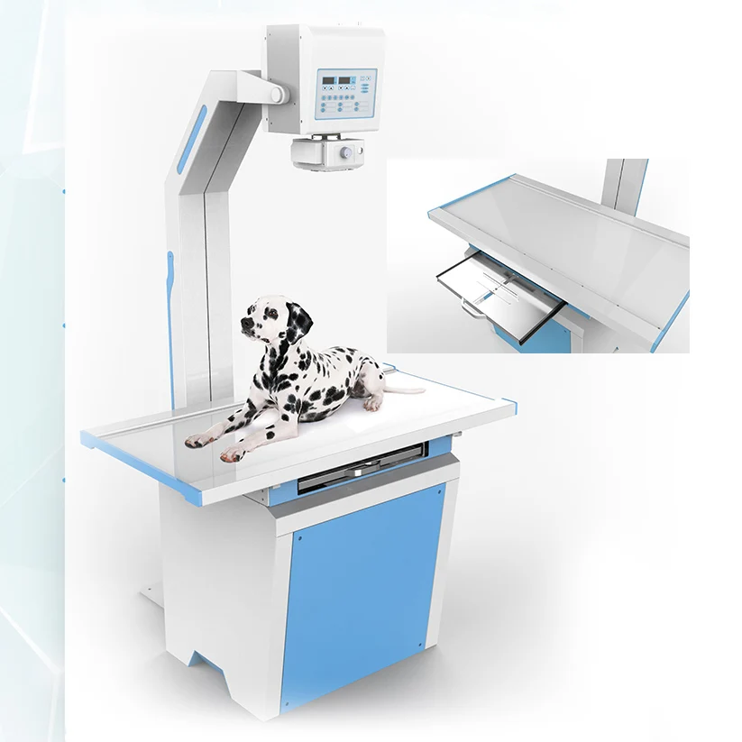 vet x ray machine price veterinary x ray machine in veterinary instrument for vet use