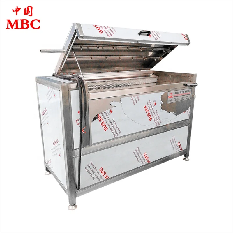 Good Quality Best Services Air Bubble Vegetable Washing Machinery