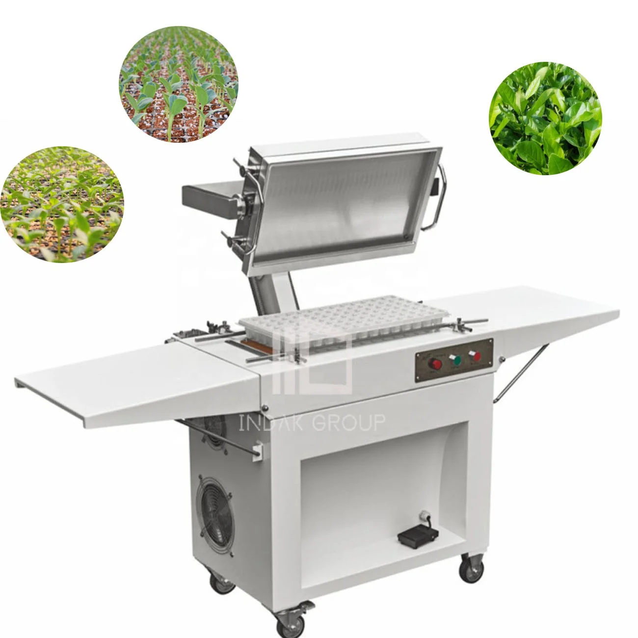 Semi-automatic seed planting machine for vegetable flower and tobacco