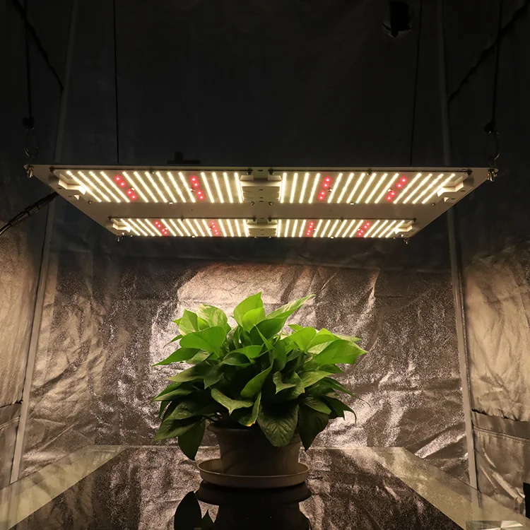  Hot Sell KingBrite qb288 480W lm301h mix Cree XP-E2 660nm red led grow