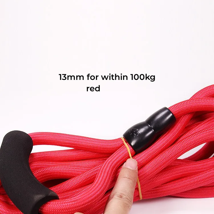 Manufacturer Wholesale Dog Hauling Cable Dog Belt Leash Training Dog Leash Pet Rope