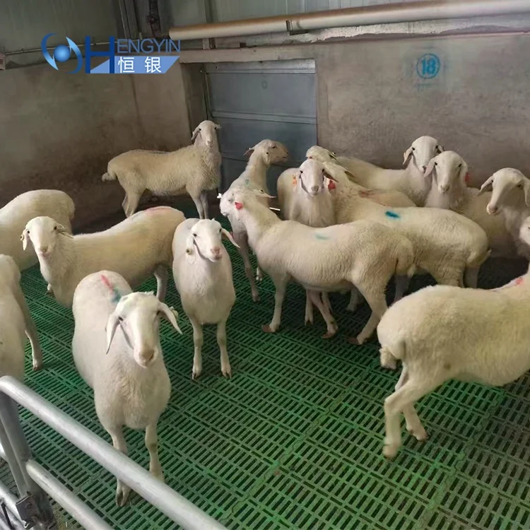 Factory Direct Sale OEM  Massive production sample free plastic slatted floor for goat sheep farming plastic floors for pigs