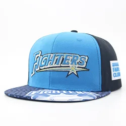 OEM 6 Panel Embroidery Printing Caps Blank Flat Bill Hip Hop Caps And Hats For Adults