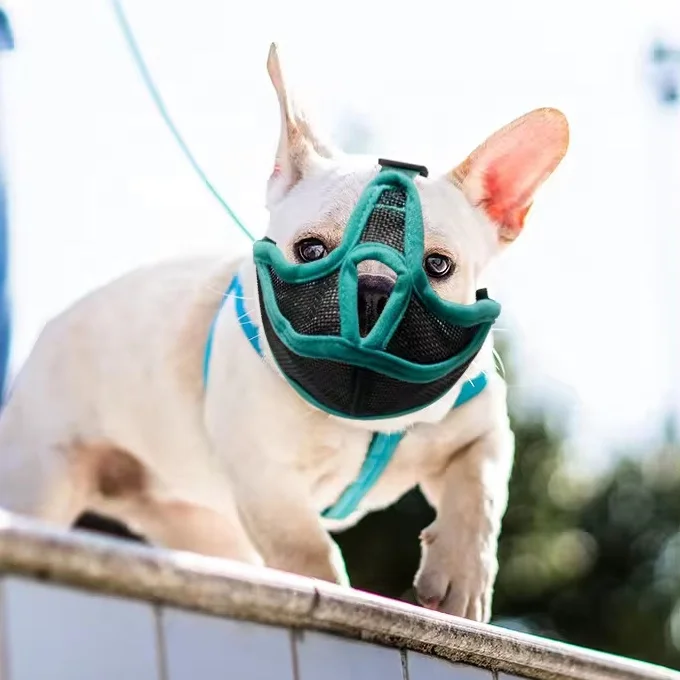 New Fadou bulldogs breathable short mouthed dog cover For preventing barking biting and accidental ingestion