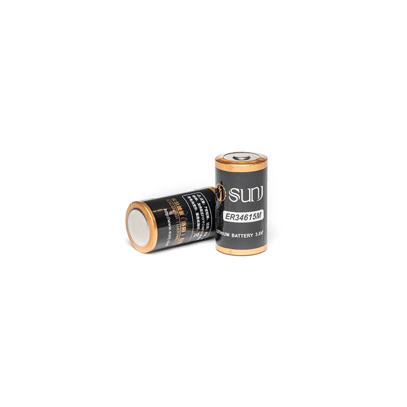 Smart water meter Power Supply High power non-rechargeable Lithium 3.6V battery ER34615M battery manufacturer
