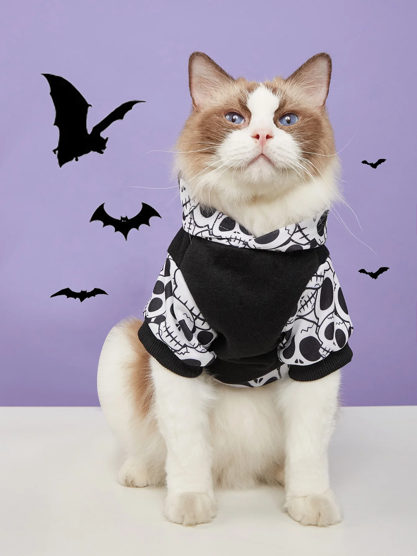 Funny Pet Clothes for Dogs Cats Crab Suit Halloween Christmas Pets Pumpkin Hooded Sweater Skull Tie Dyed Two legged Clothing