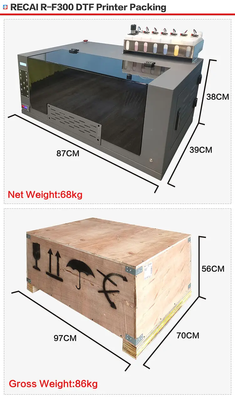 RECAI 30cm Direct To Film Printer T shirt Printing Machine DTF Printer with Shake Powder Machine