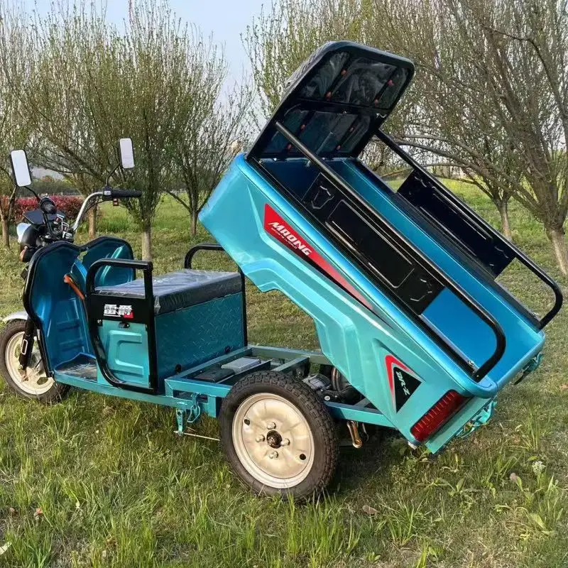 Electric cargo tricycle truck electric cargo tricycle  electric tricycle for cargo and passenger