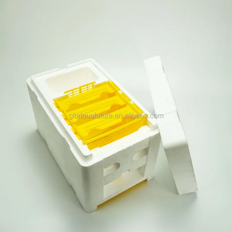 2024 Popular Beekeeping Tool For Bee Mating Queen Bee Hive mating breeding box