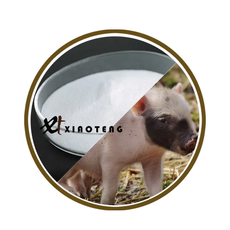 
Xiaoteng Pellet Binder polymethyl carbamide for swine feed livestock feed 