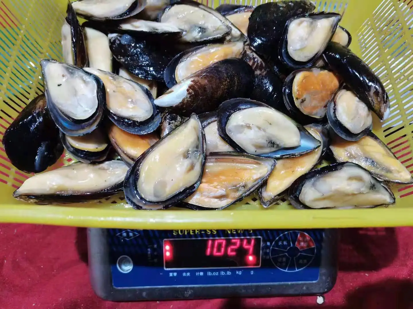 2023 Season Frozen New Zealand Green Mussel Cooked Half Shell Iqf Shellfish Seafood Boiled Black Big Size