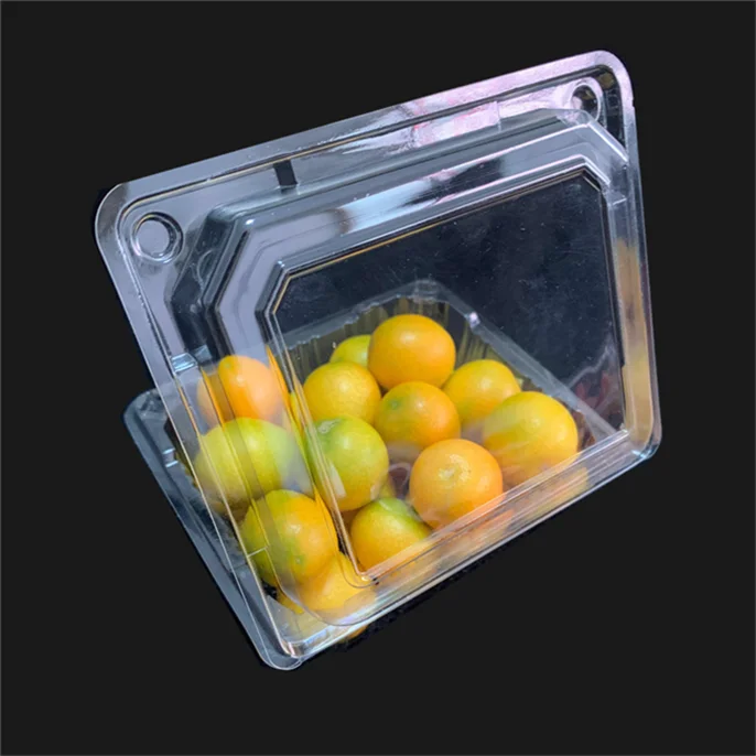 Hot sell vegetables or fruit box trays packing fruit sushi takeout box from professional manufacturer
