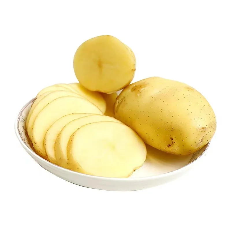 Selling Fresh Potato Export Potato with Good Quality New Crop Top Quality Fresh Potato Wholesale Price