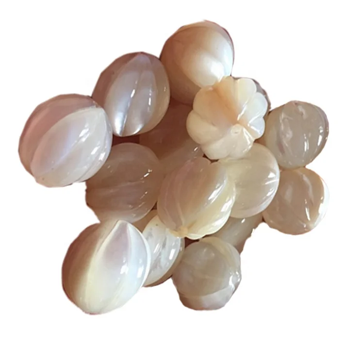 natural white mother of pearl shell beads