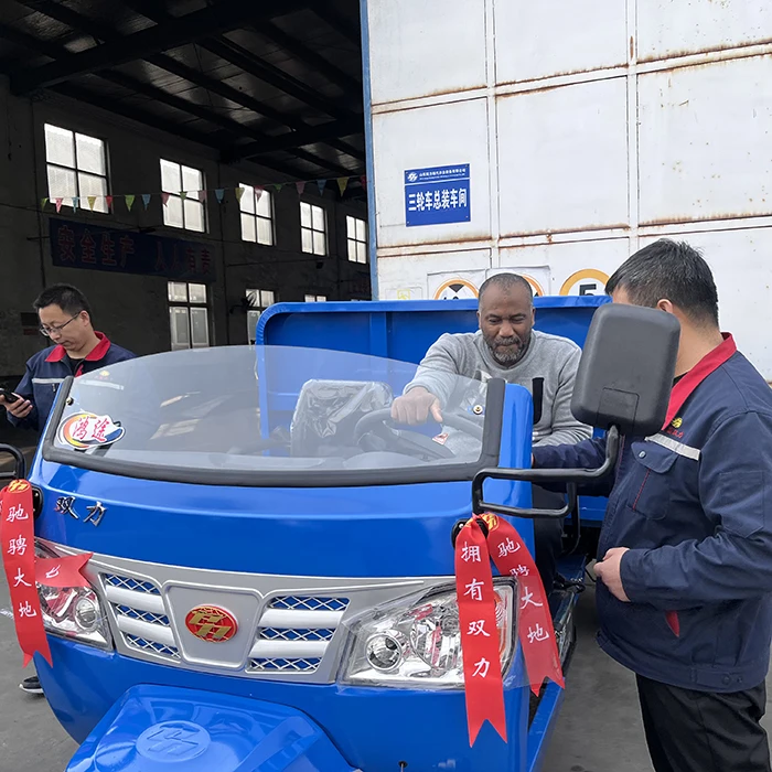 3 tons 4 tons 22hp 24hp 26hp 28hp 34hp heavy Cargo Diesel Motorized Tipper Three Wheeler Dump Tricycle for Africa