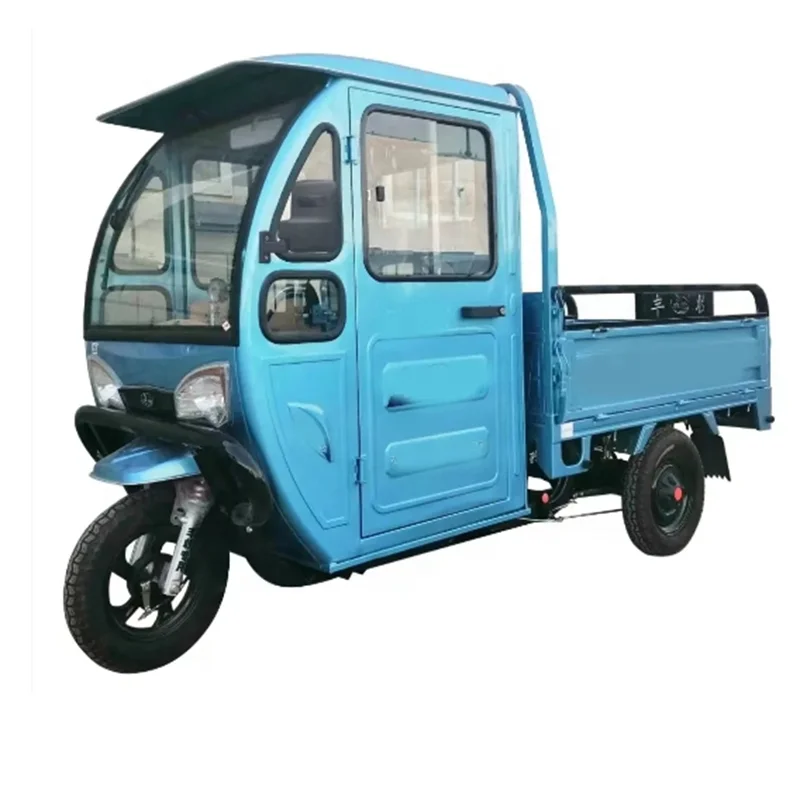 New 1000W electric tricycle haulage load tricycle agricultural stall passenger and cargo dual purpose tricycle
