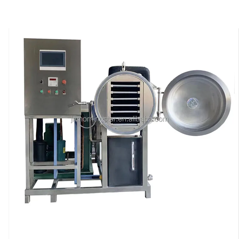 China Lyophilization Equipment Freeze Drying Lyophilizer Machine Industrial Fruit Food Vacuum Freeze Dryer