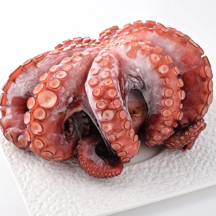 High quality wholesale seafood cooked canned octopus live
