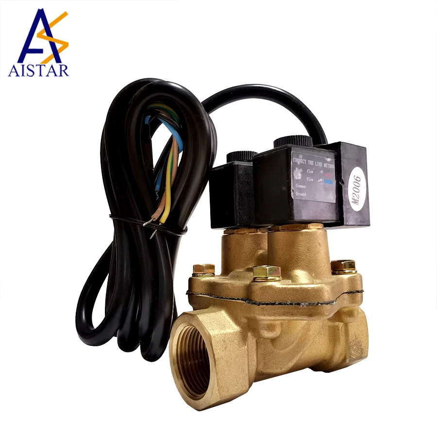 110V/220V --- Solenoid Valve