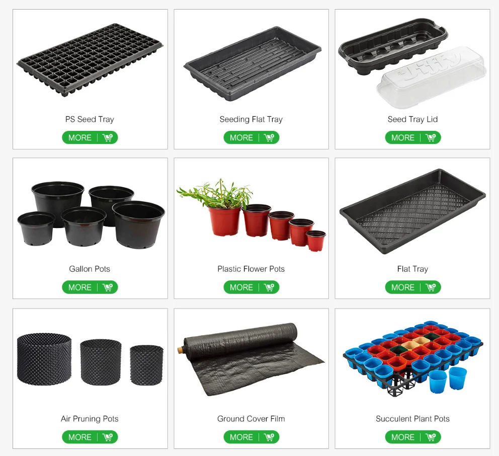 4 32 50 72 144 105 162 128 168 200 522 Cells PS china plastic seed tray for seedlings