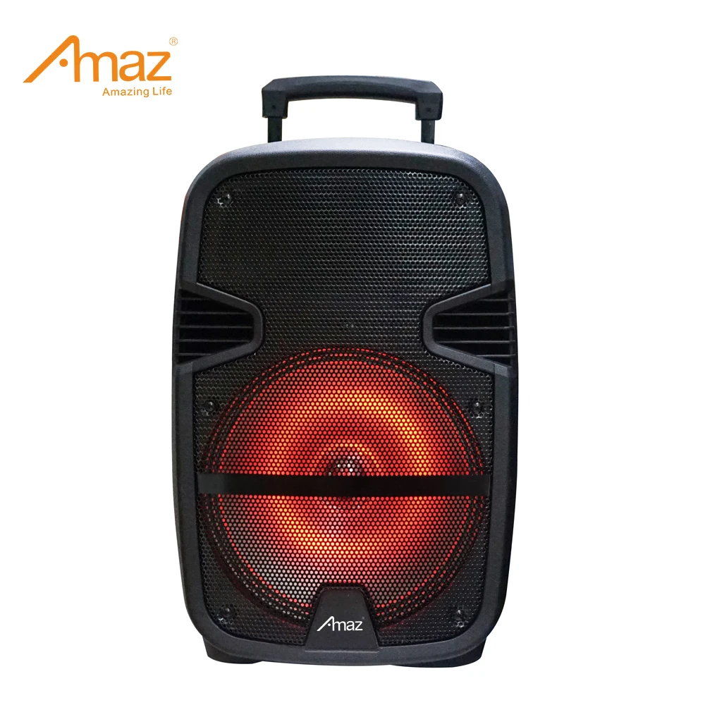 Factory direct Amaz 15 inch portable speakers customized woofer speaker trolley speaker