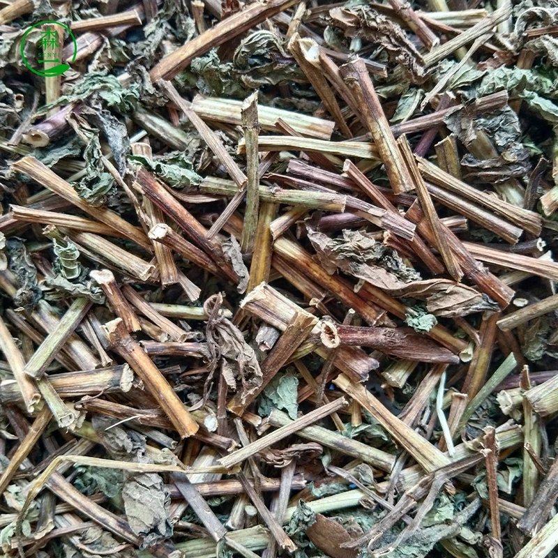 peppermint leaves selected premium grade herbal medicine peppermint branches mint leaves