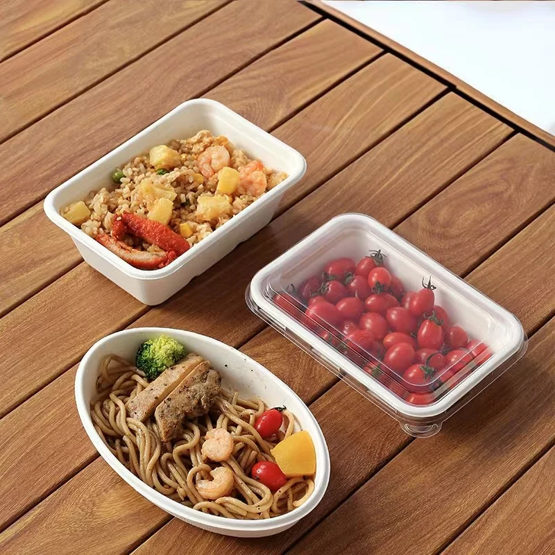 Biodegradable Disposable Square 750 ML Lunch Box Bagasse Pulp Tableware Dishes for Parties