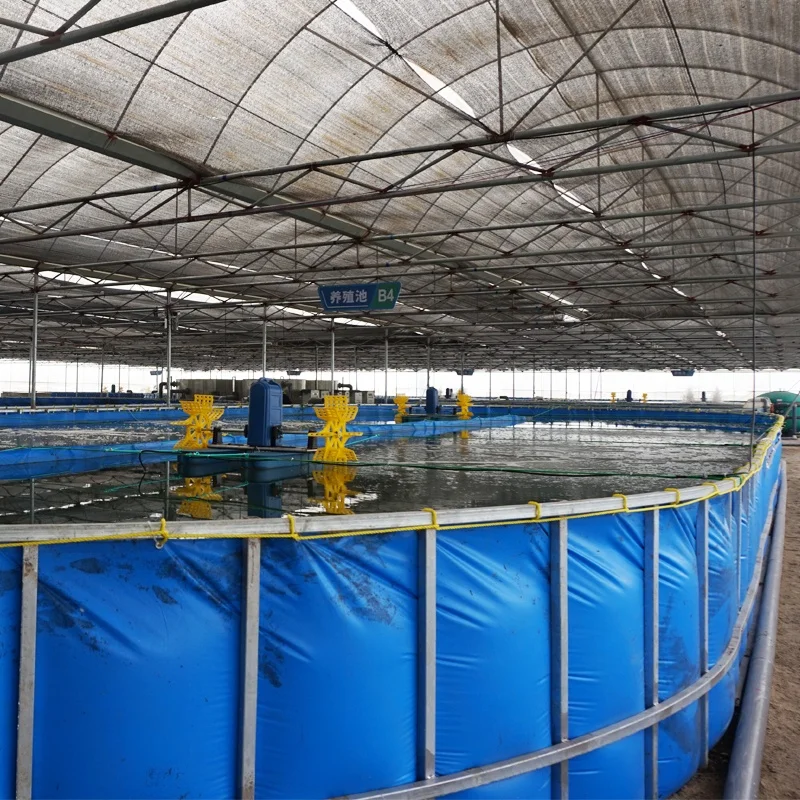 Tilapia Koi Fish Shrimp Indoor Farming Equipment Ras Aquaculture System With Drum Filter Protein Skimmer for Pond or Aquarium