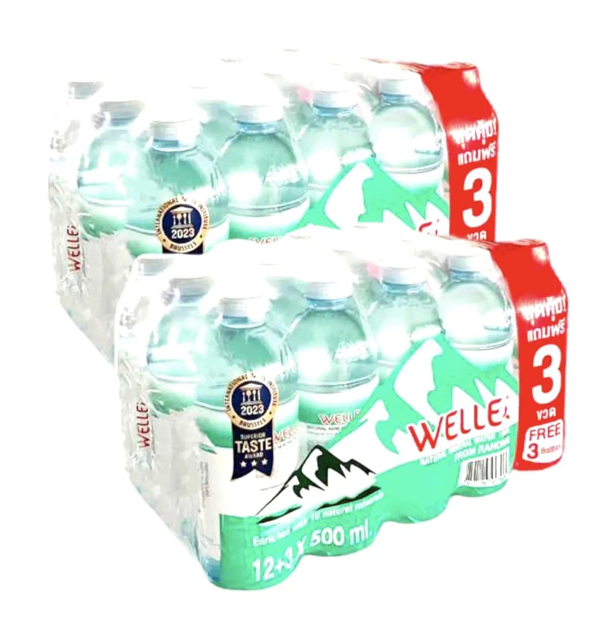 Welle Mineral Water 500 ml. in PET Bottle Premium Drinking Water Refreshing Manufacturers Water Drinking For Exporting