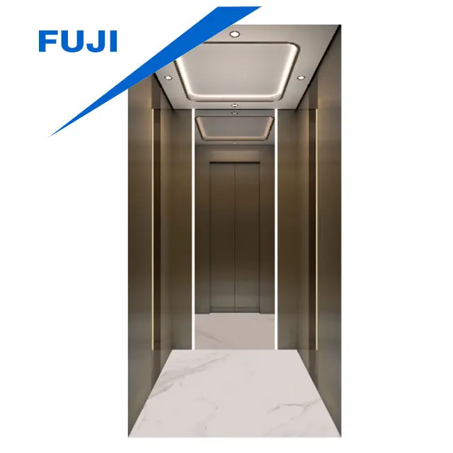 Home Elevator for Villas Modern Design Safety Feature for Residential Use