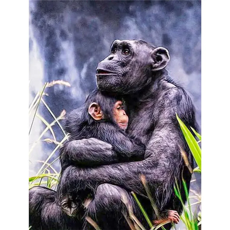 5D алмазная живопись с пейзажем «сделай сам» обезьяна мультфильм полная выкладка Алмазная мозаика вышивка ручной работы подарок декор
