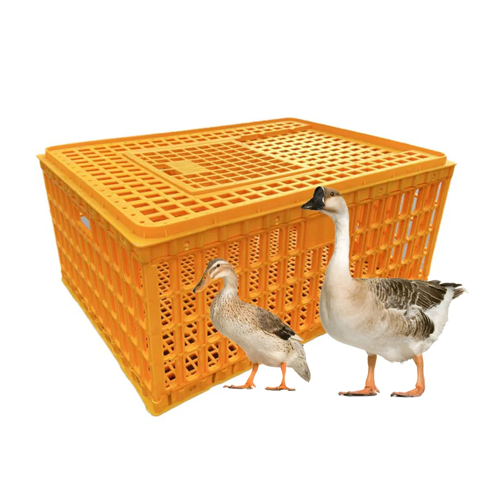 New Arrivals Plastic Household Turnover Basket Poultry Chicken Duck Pigeon Goose Cages To Transport Live Chickens