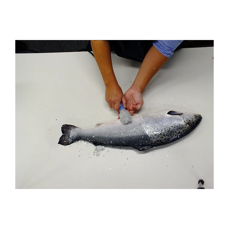 
Reasonable Asahi Price Electric Fish Scale Remover Machine On Sale 