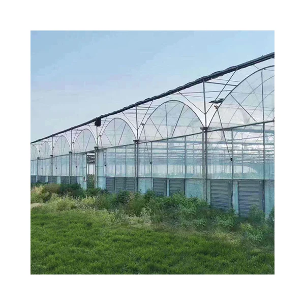 Frame plastic film multi-span green house for sale growing plastic film multi-span greenhouse film greenhouse