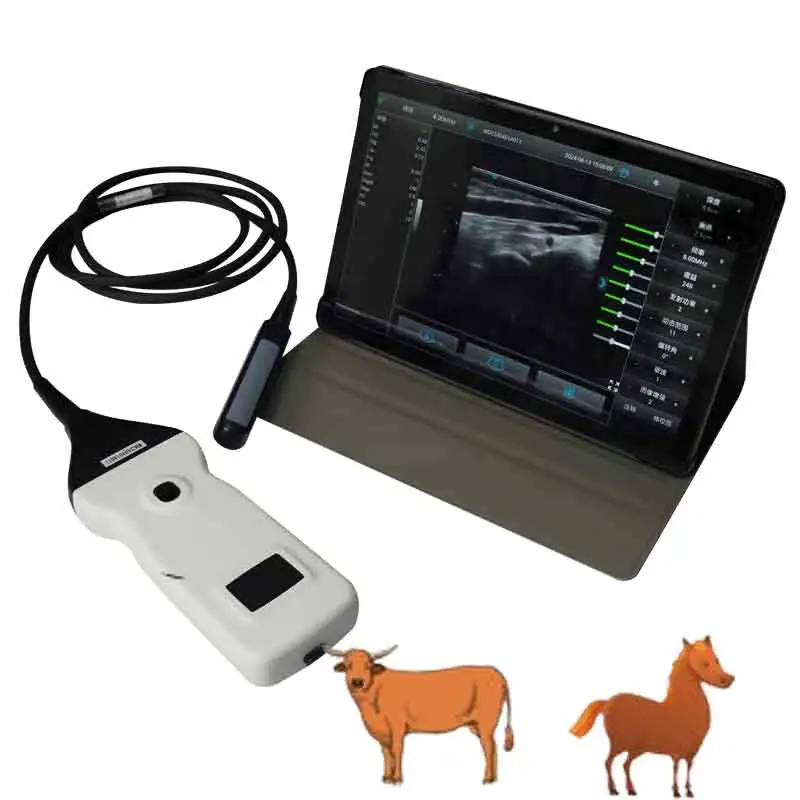 Dawei Farm Use Livestock Mechanical Veterinary Equipment Cattle Portable Pregnancy Wireless Ultrasound Rectal Probe