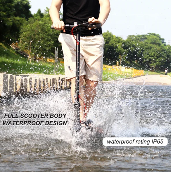 Electric Scooter for Adult 350W 31KM/H 8.5-inch Tire With Turn Signal Lamp APP Double Shock Absorption Foldable Scooter