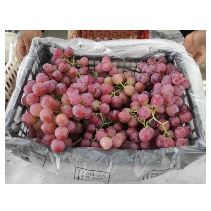 
Bulk Organic Delicious Sweet Red Globe Fresh Grapes 
