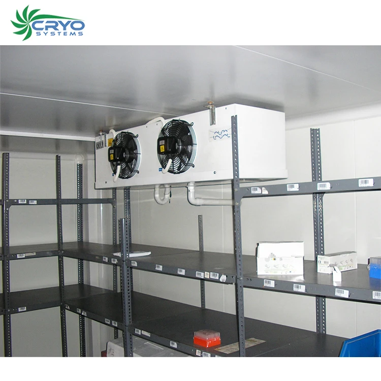 Custom dimensions blast cryo freezer ice cream storage cold room walk in cooler