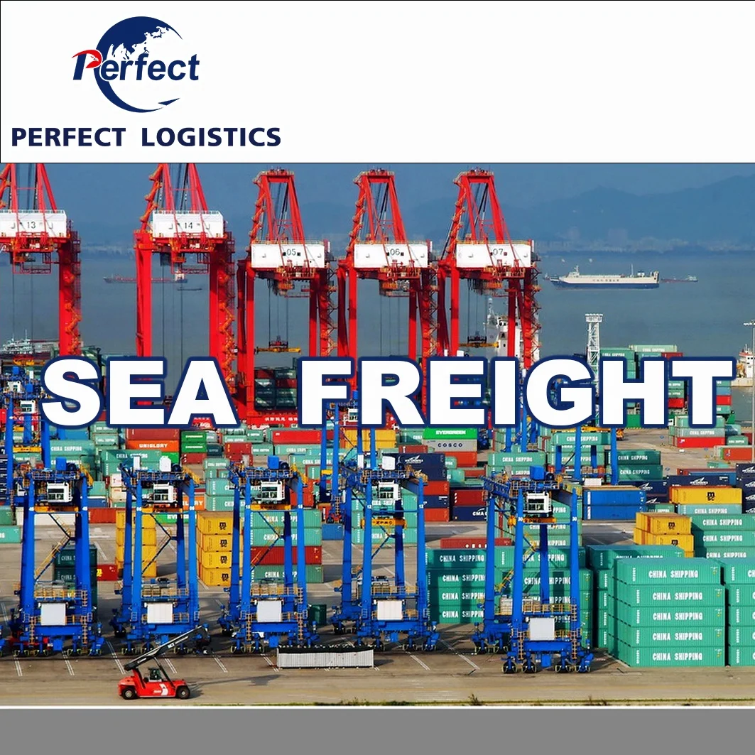 Door to Door Service in Shenzhen Sea Freight Reliable Shipping Agent Freight Forwarder China to   Saudi Arabia UAE