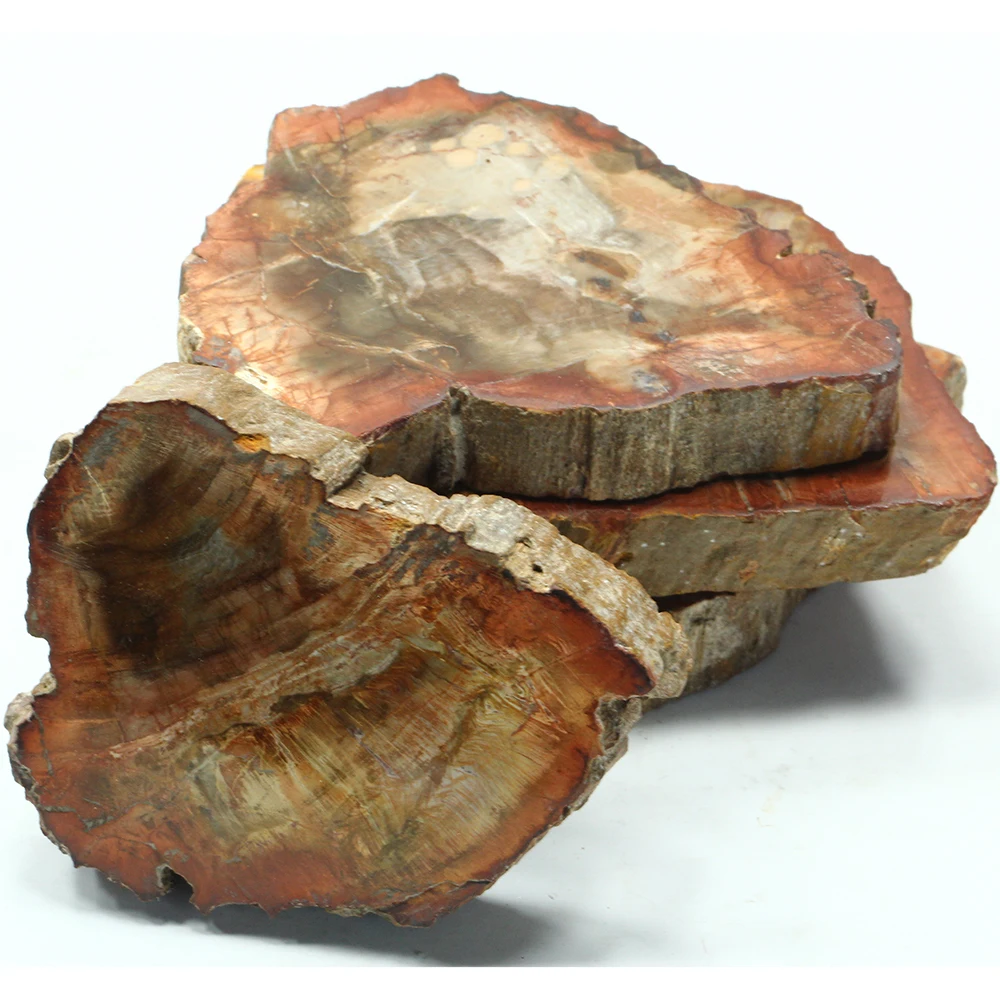 Whosale Natural Polished Wooden Fossil Slice Chips Stones Rough Petrified Wood Mineral Specimen For Sale