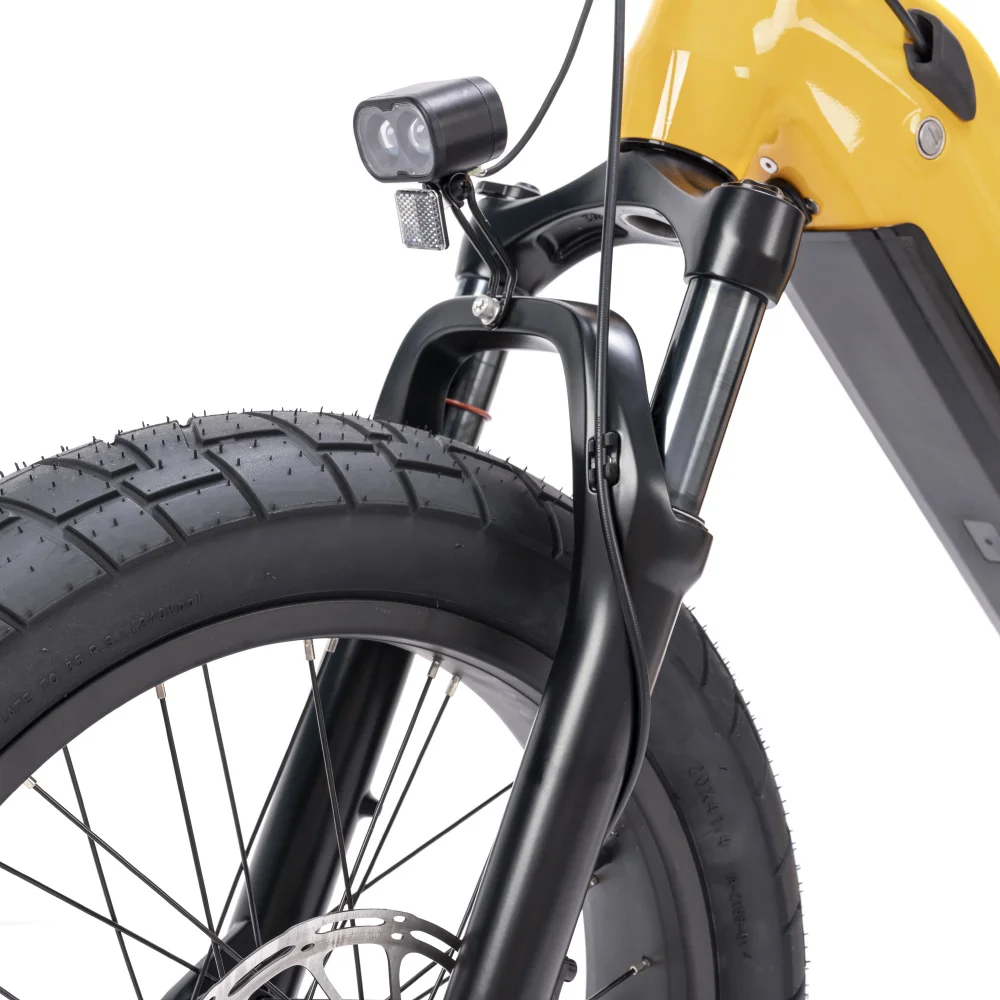 2023 Mario New Bird Hub Motor 250W Fat Tire Electric City Bike