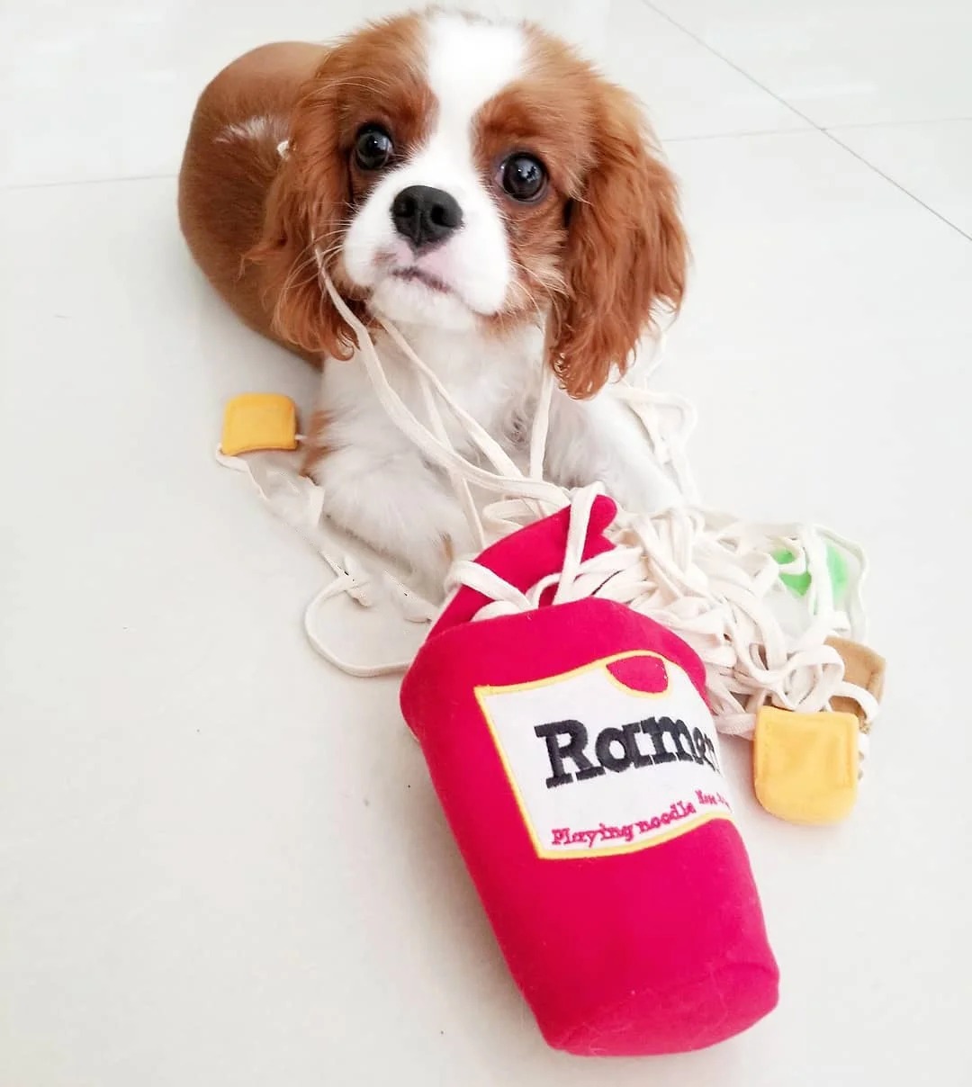 Ins Explosive Korean Ramen Design Sniffing Interactive Foreign Trade Pet Leaking Food Product Dog Sniffing Toys