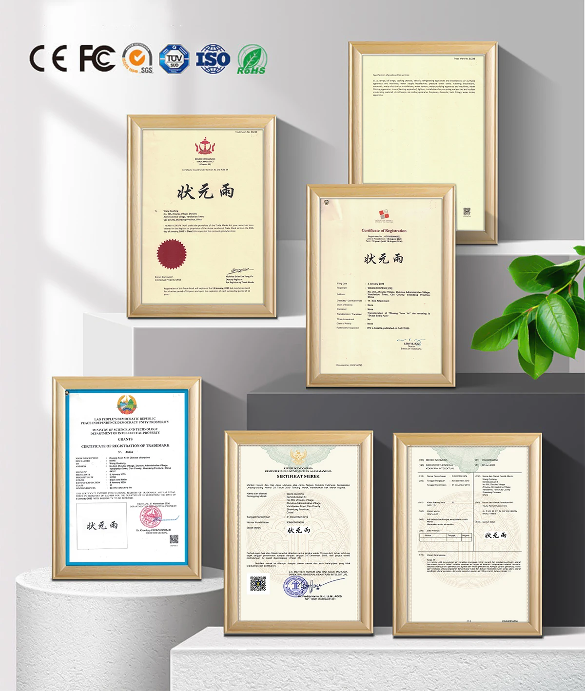 Pure Mineral Drinking Water Reverse Osmosis System Purifying Filters Purifier Machine RO Purification Water Treatment Plant